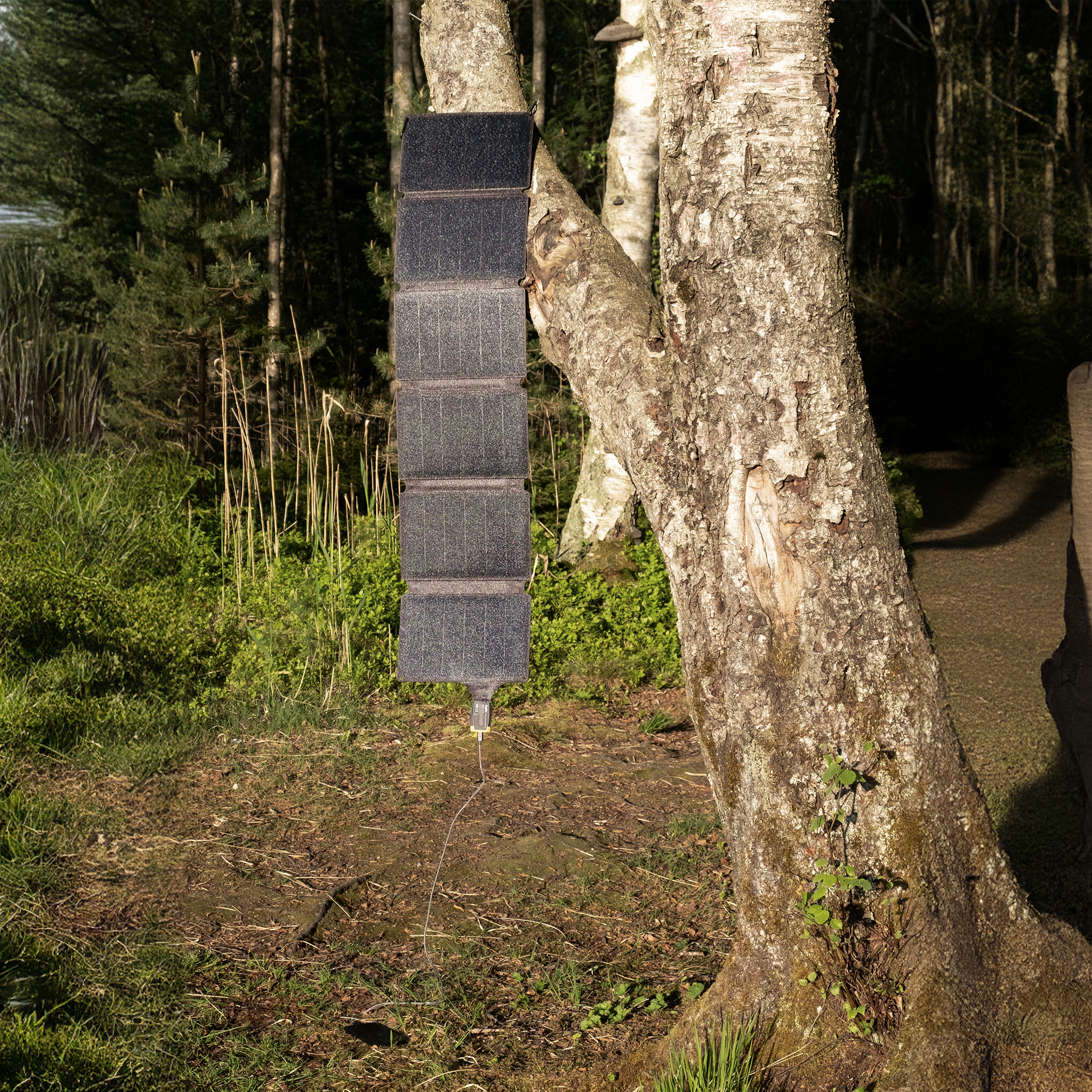 aqiila-sunbird-p56-faltbares-solarpanel-54w image 6