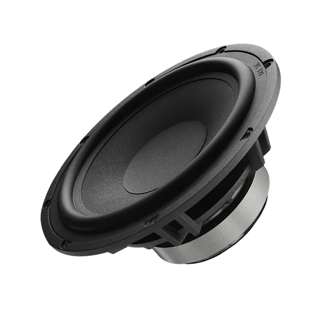 emphaser-n-ecpg6-w-original-woofer-ersatzteil image 1